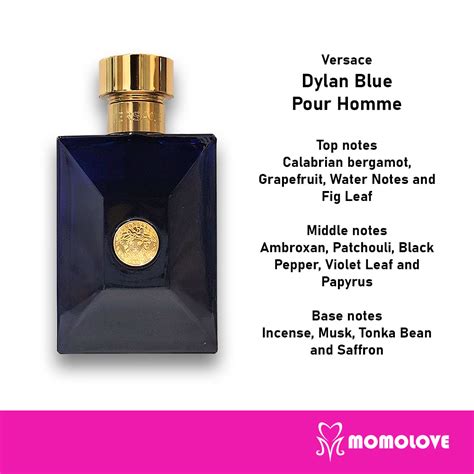 versace dylan notes